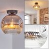Ripoll Plafoniera, Lampada a sfera Cromo, Chiaro, Grigio fumo, 1-Luce