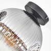 Ripoll Plafoniera, Lampada a sfera Chiaro, Grigio fumo, 1-Luce