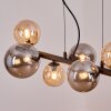 Chehalis Lampadario a sospensione, Lampada a sfera, Lampada a sospensione Ambrato, Grigio fumo, 8-Luci