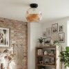 Ripoll Plafoniera, Lampada a sfera Ambrato, 1-Luce