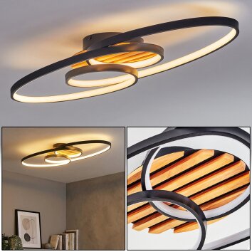 Garol Plafoniera LED Écru, Nero, 1-Luce