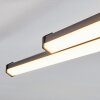 Fenol Plafoniera LED Nero, 1-Luce