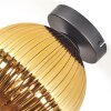 Koyoto Plafoniera, Lampada a sfera 20 cm Oro, 1-Luce