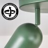 Horen Plafoniera, Faretto da soffitto Verde, 3-Luci
