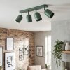 Horen Plafoniera, Faretto da soffitto Verde, 4-Luci