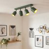 Horen Plafoniera, Faretto da soffitto Verde, 4-Luci