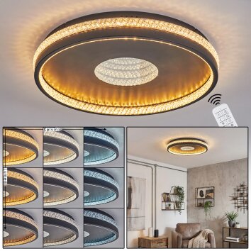 Halin Plafoniera LED Nero, Trasparente, chiaro, 1-Luce, Telecomando