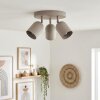 Horen Plafoniera, Faretto da soffitto Sabbia, 3-Luci