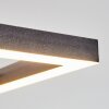 Hyacinthe Plafoniera LED Nero, 1-Luce