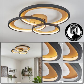 Baiyin Plafoniera LED Oro, Nero, 1-Luce