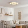 Lidor Plafoniera LED Grigio, Bianco, 1-Luce, Telecomando