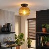 Koyoto Plafoniera, Lampada a sfera 20 cm Oro, Chiaro, 1-Luce