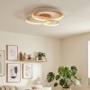 Baiyin Plafoniera LED Marrone, Bianco, 1-Luce
