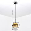 Ripoll Lampadario a sospensione, Lampada a sfera, Lampada a sospensione Oro, Chiaro, 1-Luce
