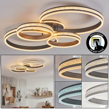 Rivex Plafoniera LED Titanio, 1-Luce