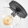 Ripoll Plafoniera, Lampada a sfera Chiaro, 1-Luce