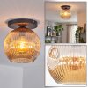 Ripoll Plafoniera, Lampada a sfera Ambrato, 1-Luce