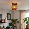 Ripoll Plafoniera, Lampada a sfera Ramato, 1-Luce