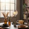 Ripoll Lampadario a sospensione, Lampada a sfera, Lampada a sospensione Chiaro, 1-Luce