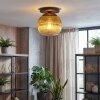 Koyoto Plafoniera, Lampada a sfera 26 cm Oro, Chiaro, 1-Luce