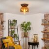 Koyoto Plafoniera, Lampada a sfera 25 cm Oro, Chiaro, 1-Luce