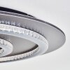 Lidor Plafoniera LED Antracite, Grigio, Nero, 1-Luce, Telecomando