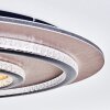 Lidor Plafoniera LED Oro, Ramato, Nero, 1-Luce, Telecomando