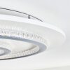 Lidor Plafoniera LED Grigio, Bianco, 1-Luce, Telecomando