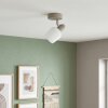 Sivol Plafoniera, Faretto da soffitto Nichel opaco, Sabbia, 1-Luce