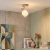 Sivol Plafoniera, Faretto da soffitto Nichel opaco, Sabbia, 1-Luce