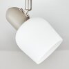 Sivol Plafoniera, Faretto da soffitto Nichel opaco, Sabbia, 1-Luce