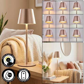 Salgadinho Lampada da tavolo per esterno, Lampada da tavolo LED Champagne, 1-Luce