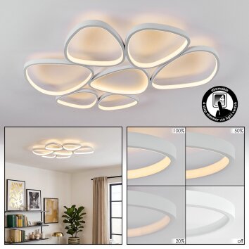 Molin Plafoniera LED Bianco, 1-Luce