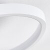 Molin Plafoniera LED Bianco, 1-Luce