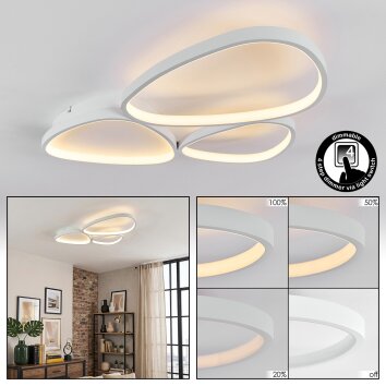 Molin Plafoniera LED Bianco, 1-Luce