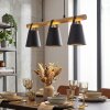 Andian Lampadario a sospensione, Lampada a sospensione Écru, Nero, 3-Luci
