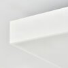 Kadin Plafoniera, Panel LED Bianco, 1-Luce