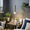 Molten Lampadario a sospensione, Lampada a sospensione LED Nichel opaco, 1-Luce