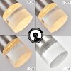 Molten Lampadario a sospensione, Lampada a sospensione LED Nichel opaco, 1-Luce