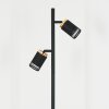 Fenik Lampada da terra LED Nero, 2-Luci
