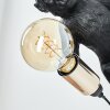 Leonix Applique Oro, Nero, 1-Luce