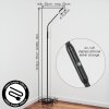 Kavin Lampada da terra LED Cromo, Nero, 1-Luce