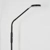 Kavin Lampada da terra LED Cromo, Nero, 1-Luce