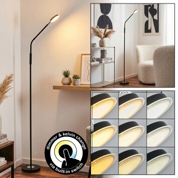 Kavin Lampada da terra LED Cromo, Nero, 1-Luce