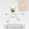 Basto Plafoniera, Lampada a sfera Sabbia, 6-Luci
