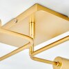 Bogno Plafoniera Ottone, 4-Luci