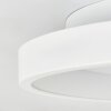 Tulin Plafoniera LED Bianco, 1-Luce, Telecomando