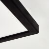 Zuren Plafoniera, Panel LED Nero, 1-Luce