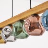 Ripoll Lampadario a sospensione, Lampada a sfera, Lampada a sospensione Écru, Nero, 5-Luci