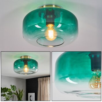 Boza Plafoniera Oro, Nero, 1-Luce